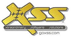 xss css 