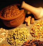 گیاه بابونه 