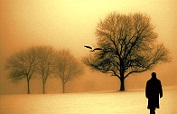 خیلی بیشتر از سه نقطه
